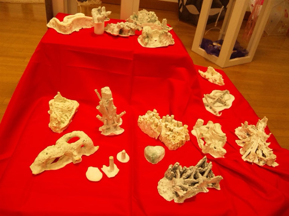 作品展示